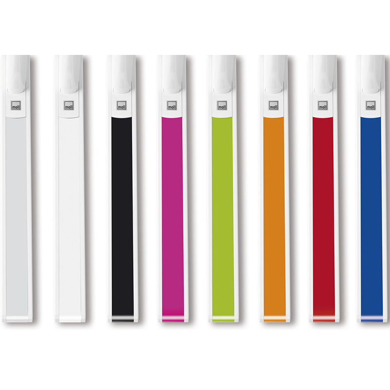 moll Kinder- und Jugendschreibtisch Champion