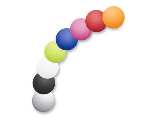 moll Kinder- und Jugendschreibtisch Champion