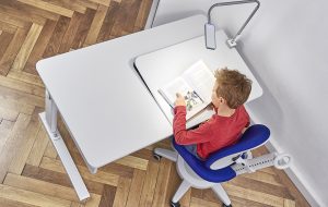 moll kids Kinderschreibtisch Champion geteilte Platte