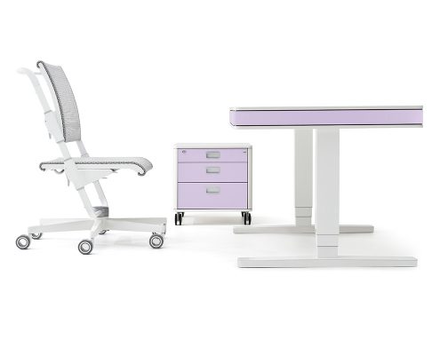 designmöbel von moll unique designschrebtisch T7 designdrehstuhl S9 höhenverstellbar made in germany