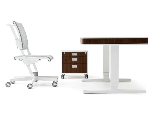 Designnoebel-moll-unique-S9-C7-T7-nussbaum-1 designmöbel von moll unique designschrebtisch T7 designdrehstuhl S9 höhenverstellbar made in germany