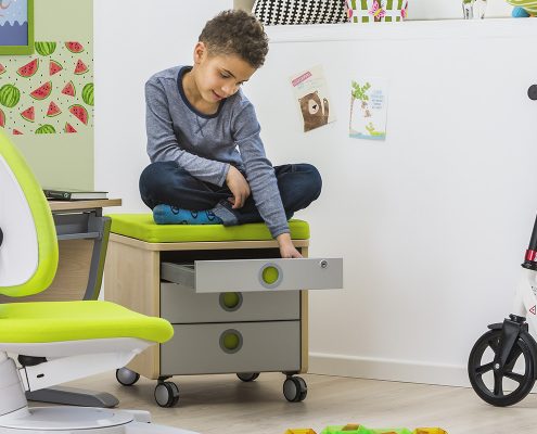 moll kids Joker Pro kinderschreibtisch mitwachsende Kindermöbel von moll kinderschreibtische kinderdrehstühle höhenverstellbar neigbar made in germany