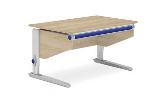 moll kids Kinderschreibtisch winner (2)