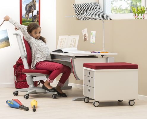 moll kids kinderwelten kinderschreibtische mitwachsende Kindermöbel von moll kinderschreibtische kinderdrehstühle höhenverstellbar neigbar made in germany