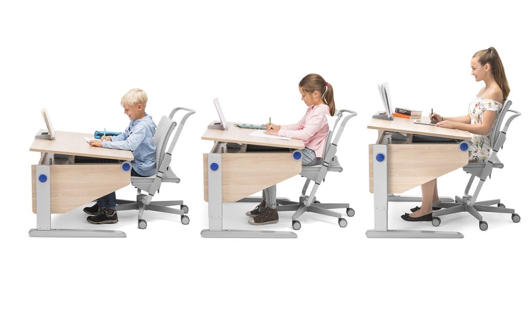 moll kids winner für alle körpergrössen