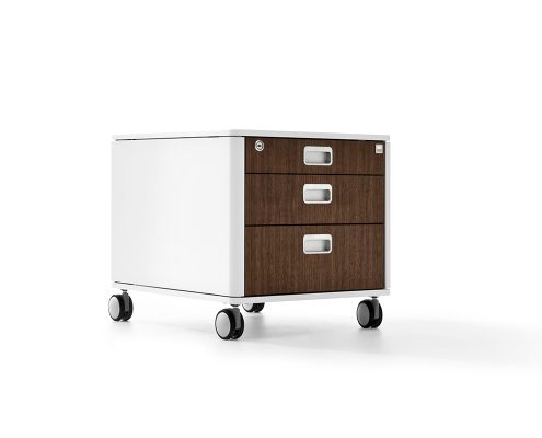 moll unique Container C7 Nussbaum 45Grad