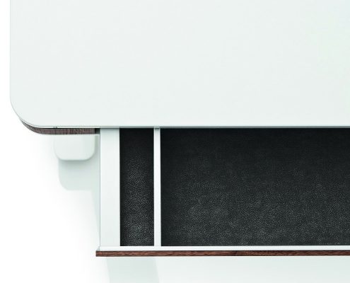 Mitwachsende Schreibmöbel von moll designmöbel von moll unique designschrebtisch T7 elektrisch höhenverstellbar made in germany