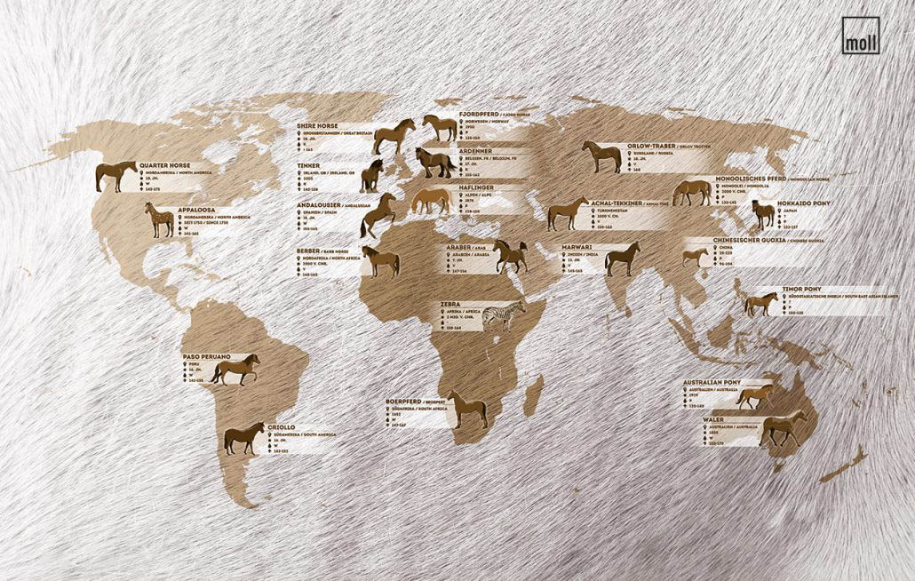 pferde-weltkarte_final_f