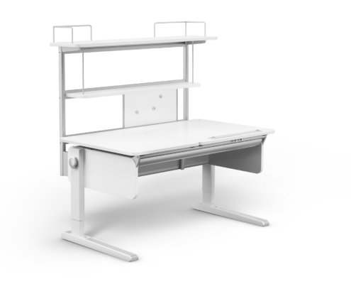 moll Funktion 2020 F prime Champion web 0002(1)