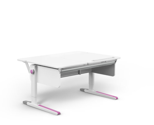 moll Funktion 2020 F prime Champion web 0004(1)