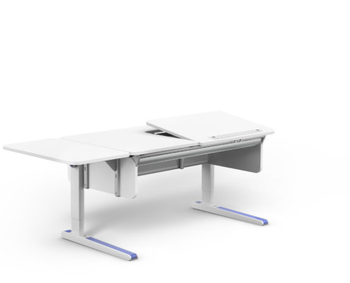 moll Funktion 2020 F prime Champion web 0007(1)