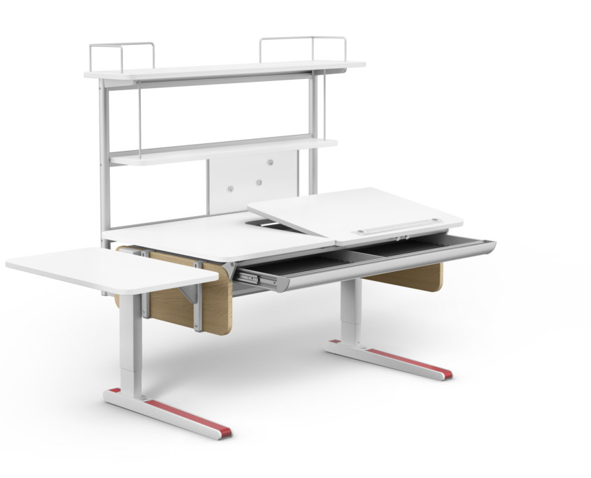 moll Funktion 2020 F prime Champion web 1102