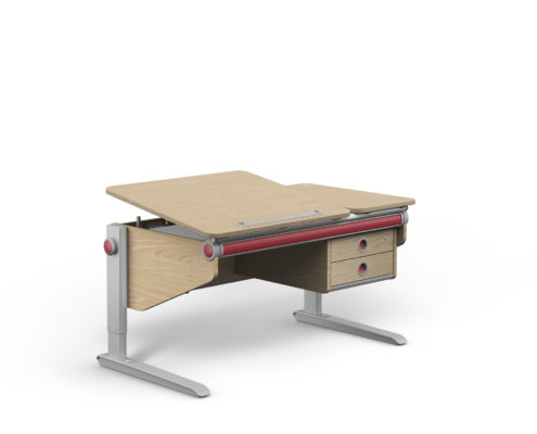 moll Funktion 2020 F prime Winner Split web 0104