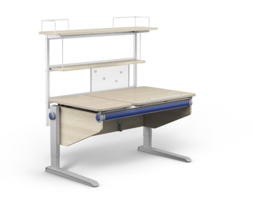 moll Funktion 2020 F prime Winner Split web 0111