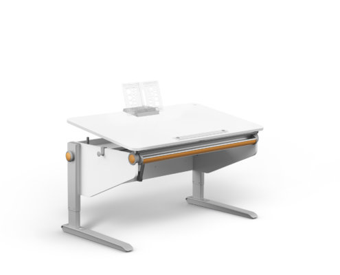 moll Funktion 2020 F Winner web 1033