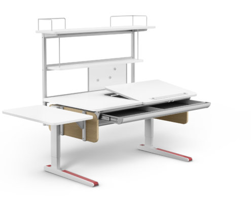 moll Funktion 2020 F prime Champion web 1102