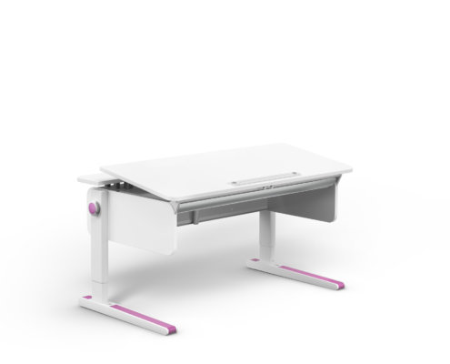 moll Funktion 2020 F prime Champion web 1429