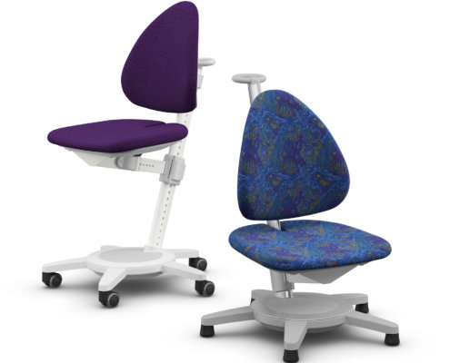 moll Funktion 2020 F prime Maximo web 1051